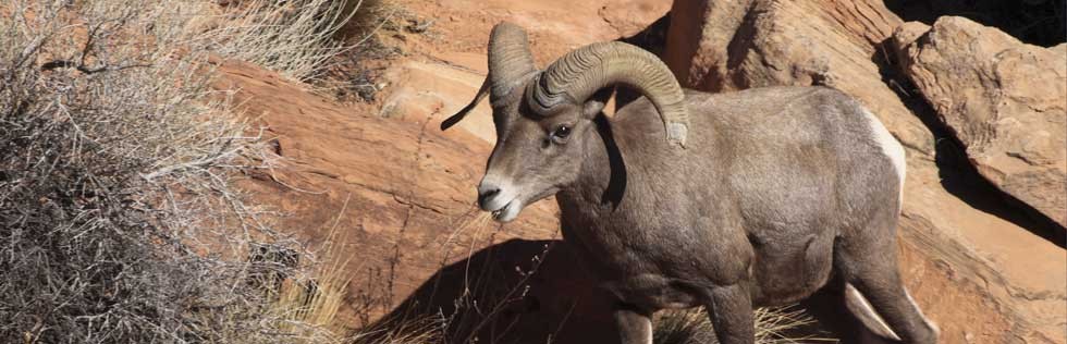 Come See The Natural Beauty