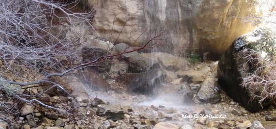 White Rock – Willow Springs