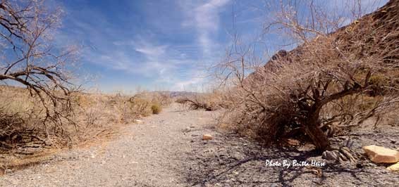 Lost Creek – Children’s Discovery