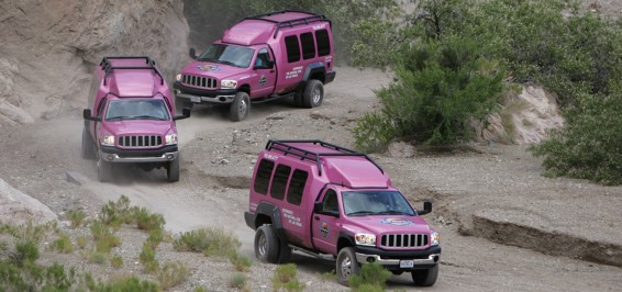 PINK JEEP® TOURS HONORS RED ROCK CANYON