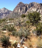 red-rock-canyon12