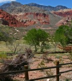 red-rock-canyon15